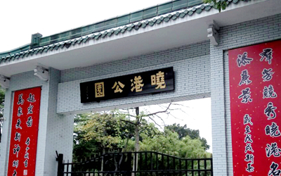 广府觅园林之翠竹悦心的晓港公园