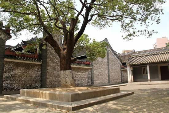 蚝壳屋印证着广州沧海桑田的地质变迁历史