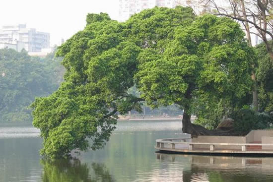 广州东山湖那些不为人知的故事