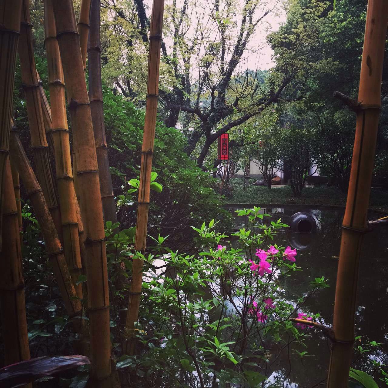 气候温和 岭南园林的植物景观