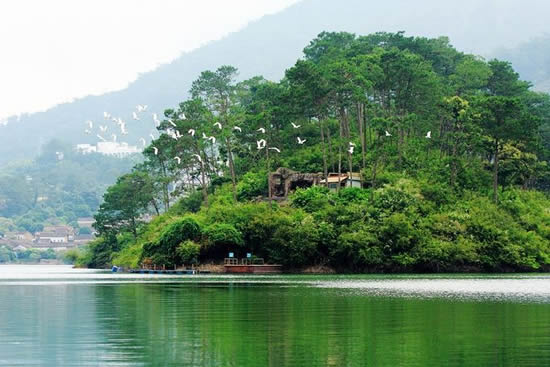 五一到广州流溪河国家森林公园品尝青梅酒