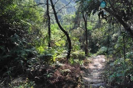 广州花都百步梯古道修筑于清代曾为南北咽喉要道