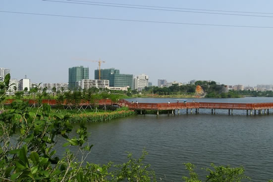 广州市花都区未来致力于打造绿色金融集聚区