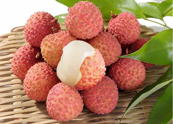 2018年端午节广州一日游到南沙品尝桂味荔枝吧！