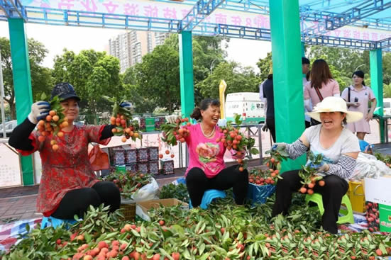 2018年南沙街荔枝旅游文化节在万达广场盛大开幕 举办一系列亲子乐园活动