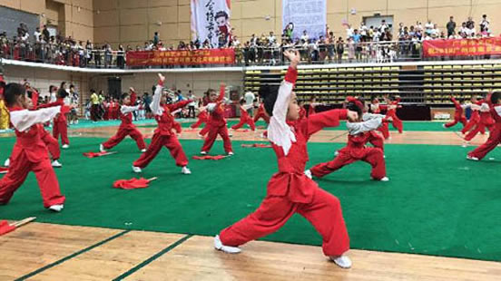 2018广州岭南武术非遗文化周举行 推动岭南武术和中医的融合发展