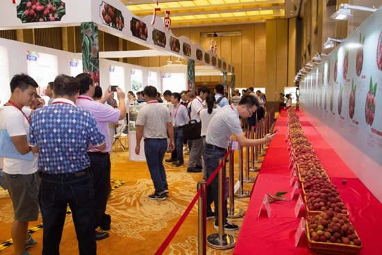 2018年中国国际荔枝产业大会在从化开幕 传播岭南文化的特色产业