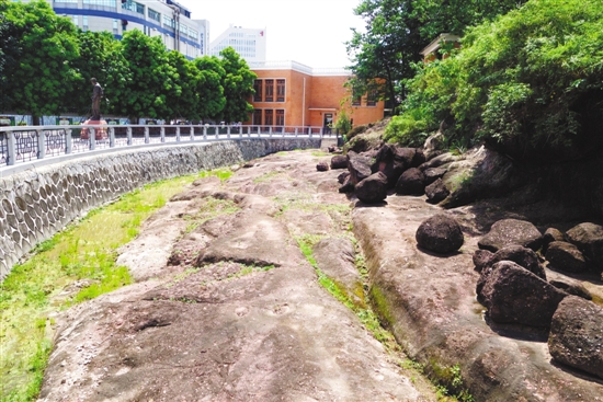广州一日游哪里好玩？七星岗古海岸遗址公园免费对外开放！