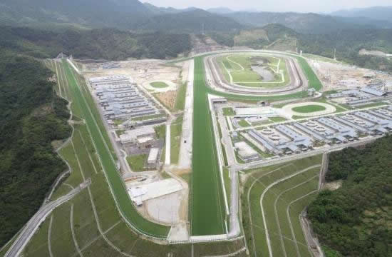 广州从化跑马场揭秘 全年进出境马匹数量可达2万匹以上