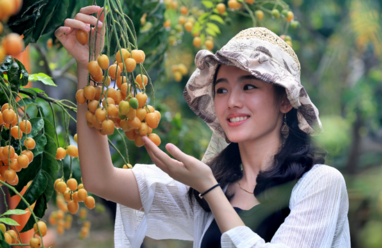 2018年云浮郁南无核黄皮文化旅游节开幕，推介6条美丽乡村旅游精品线路