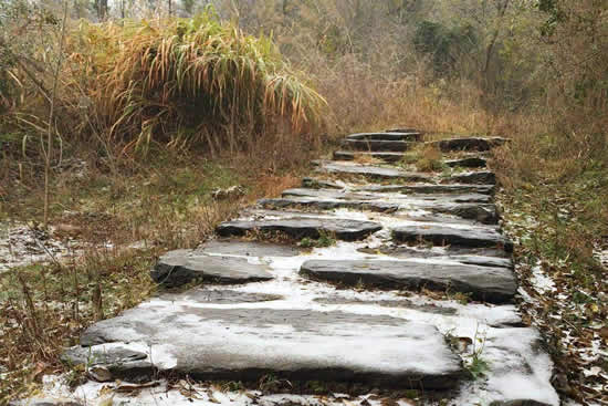 18条南粤古驿道重点线路精华段国庆前靓丽登场，全程总长度达165k！