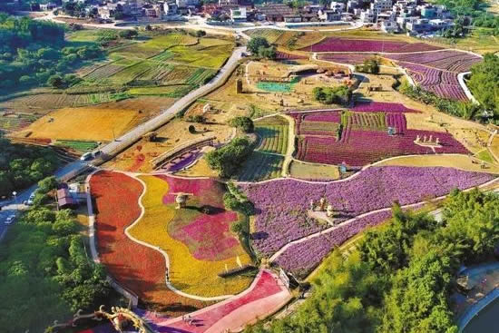 广州市从化区未来2年将建成155条省定美丽宜居村、20条特色精品村