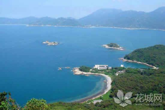 三门岛上的守护神广州仔谢又辉，十四年如一日的坚守！