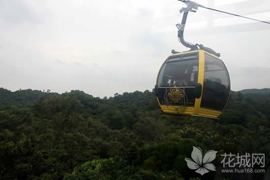 广州白云山登山索道的故事，我国第一条自行设计建造的观光索道！