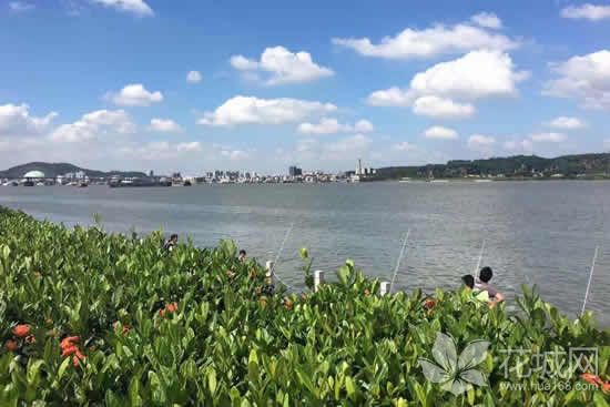 广州周末哪里好玩？带你到番禺海鸥岛吃生猛海鲜河鲜吧！