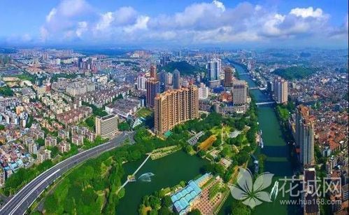 深圳和中山入围2018国家森林城市拟批准名单，广东率先建设国家森林城市群！