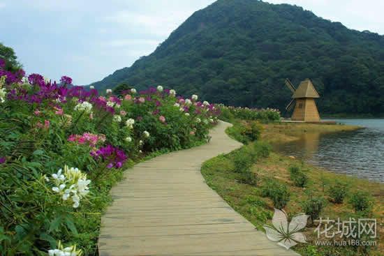为了躲避台风山竹，广州市属公园开始清场闭园！
