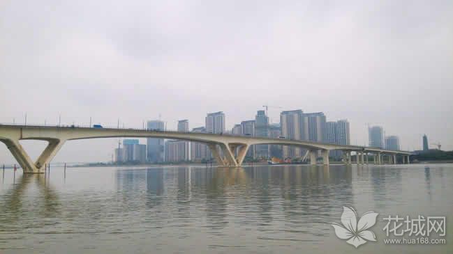 无人港用囤船走锚广州琶洲大桥受损，仍因此处于双向封闭状态！