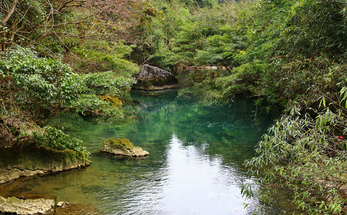 贵州茂兰保护区，地球腰带上的绿宝石