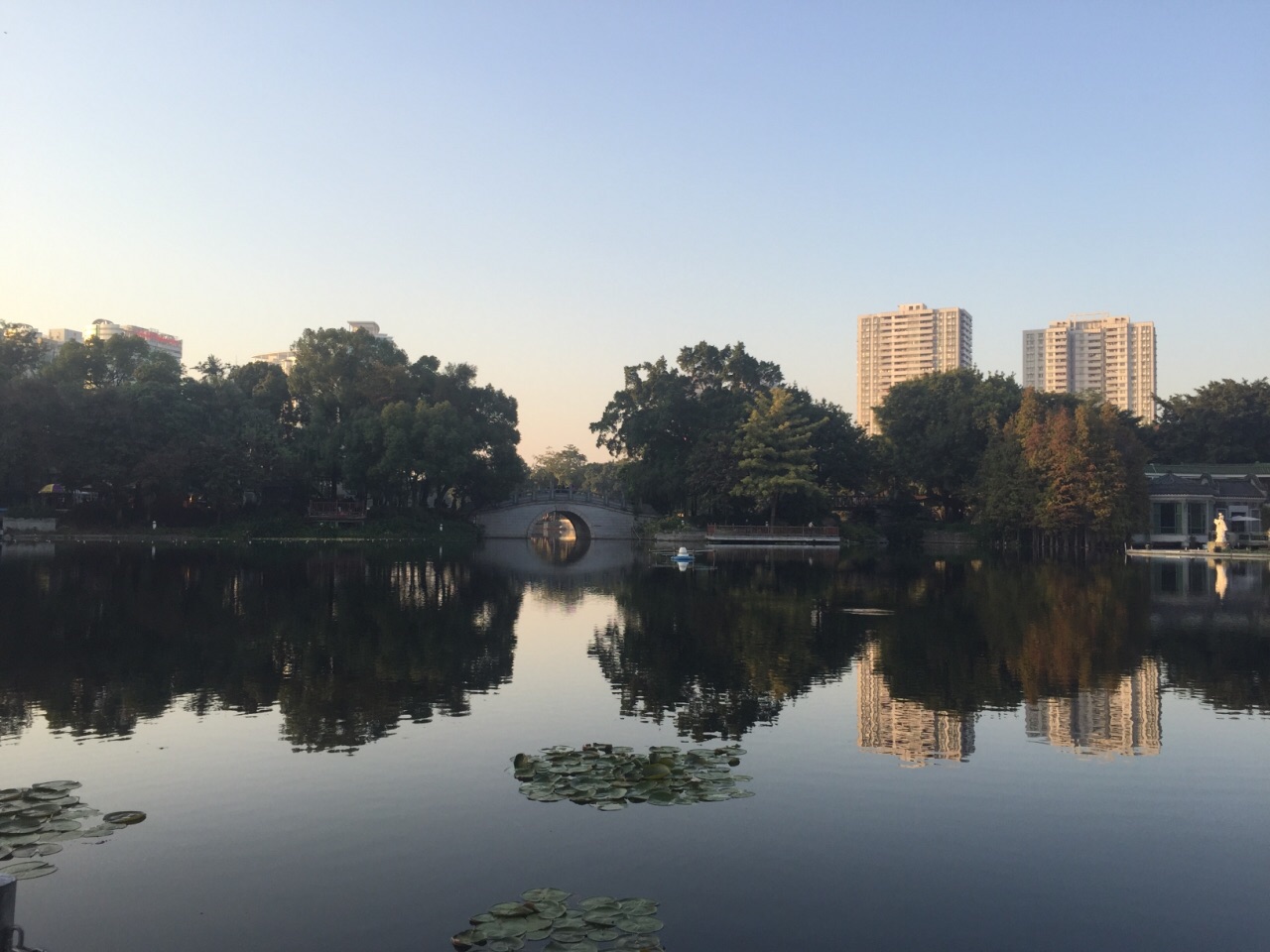 城市荔枝湾